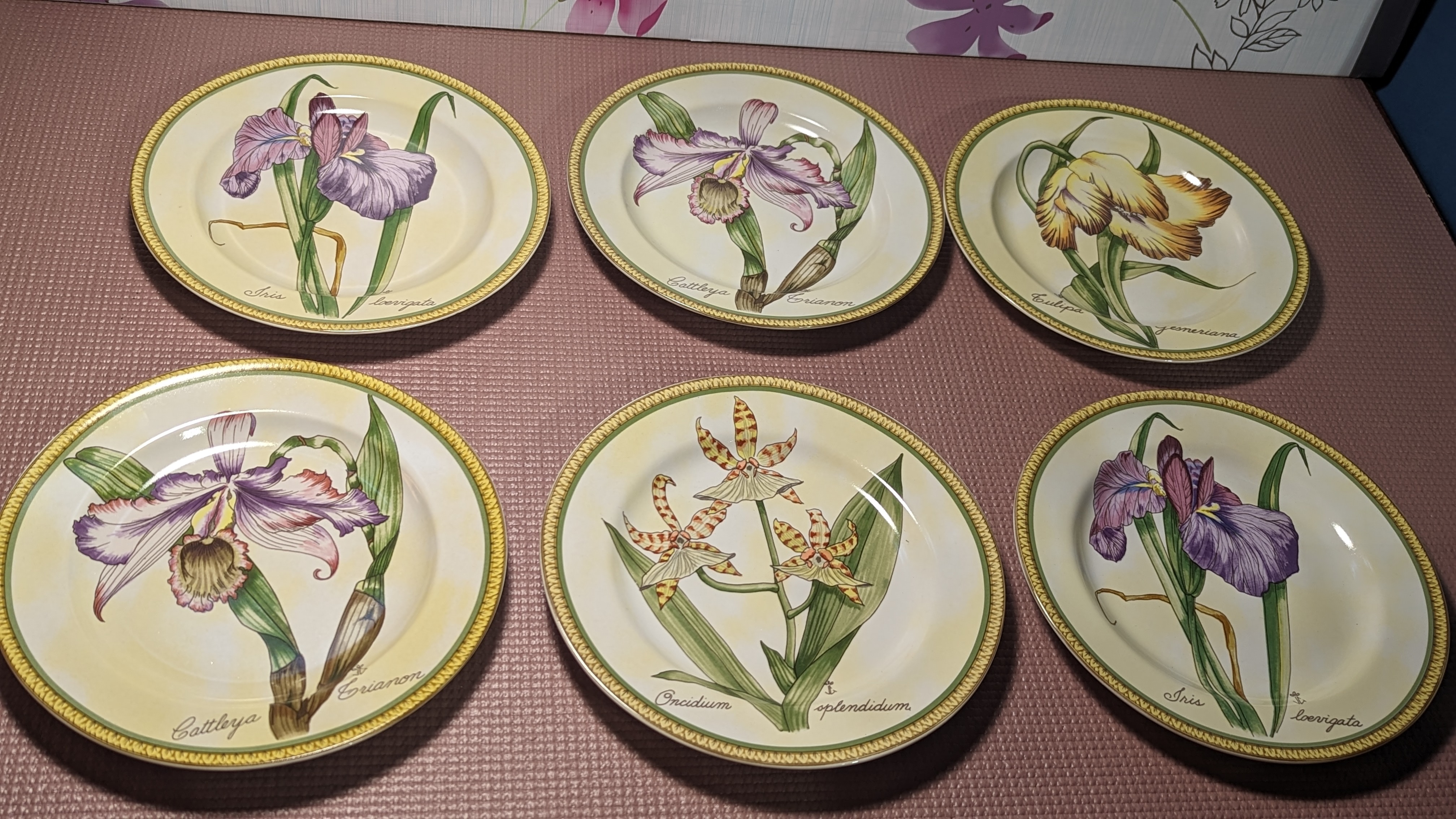 American Atelier Botanical Plates - set of 6 VINTAGE